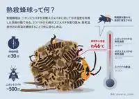 添付画像 1