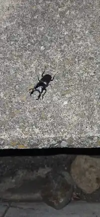 投稿サムネイル